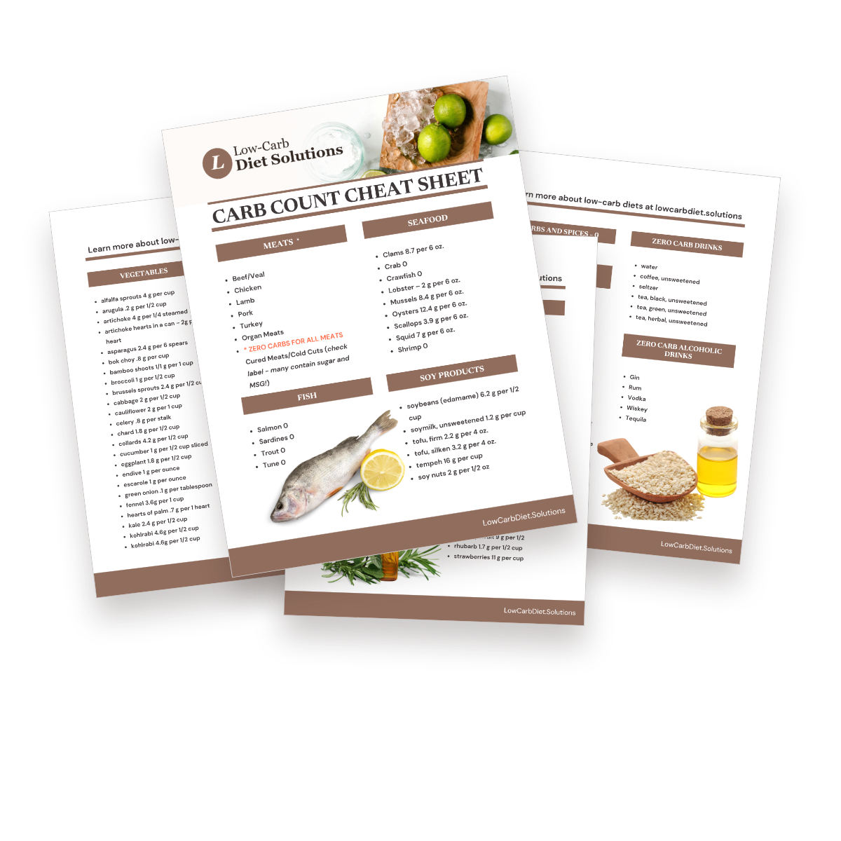 Preview of the four-page Low-Carb Diet Solutions Carb Count Cheat Sheet