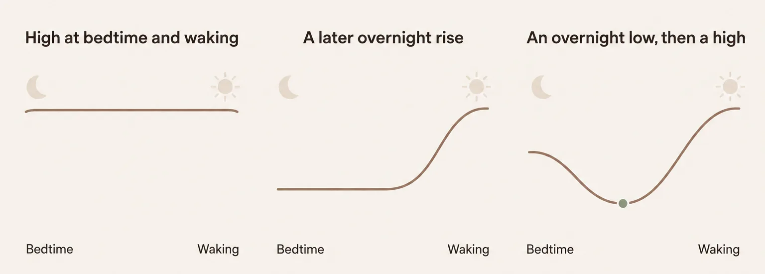 Three overnight lines side by side: one high from bedtime to waking, one that rises late in the night, and one that dips low and then climbs by morning